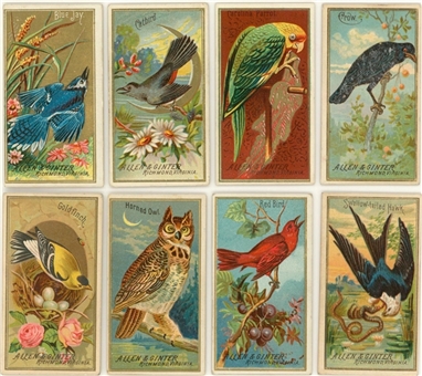 1880s N4 Allen & Ginter "Birds of America" Complete Set (50) Plus Two Back Variations